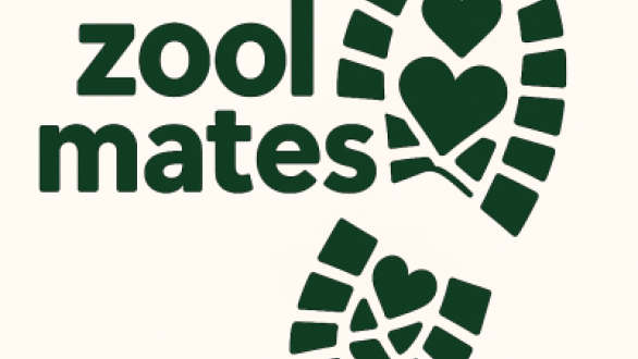 Zool Mates