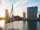 Run for Rotterdam