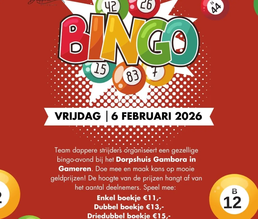 Bingo - Gameren