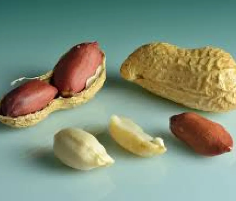 Pindakaas voor (t)huis