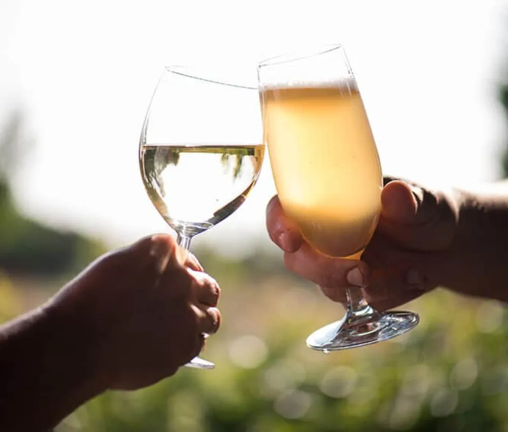 Zondagmiddagborrel
