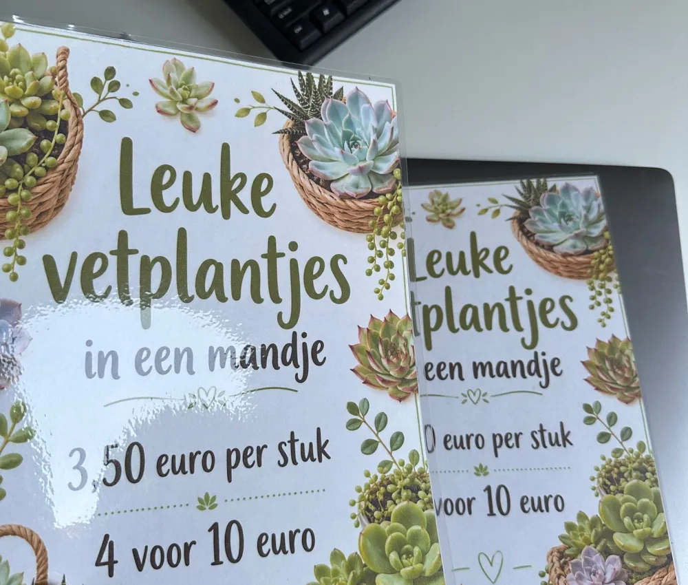Vetplantjes verkoop