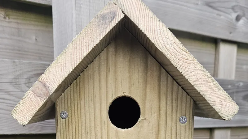Vogelhuisjes 