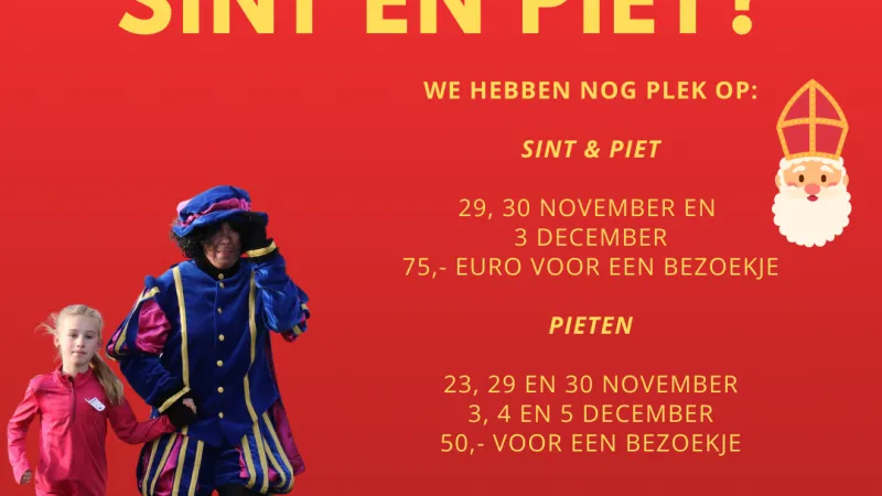 Sinterklaas en Pieten bezoekjes