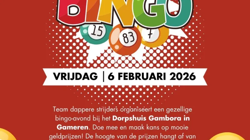 Bingo - Gameren