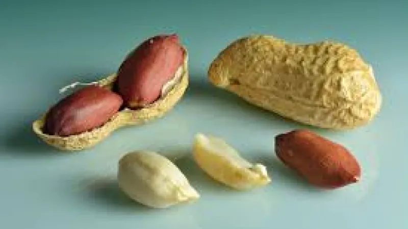 Pindakaas voor (t)huis