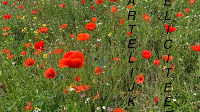 Kaarten verkoop