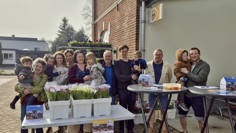 Violen en tulpen