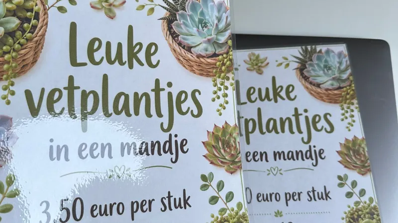 Vetplantjes verkoop