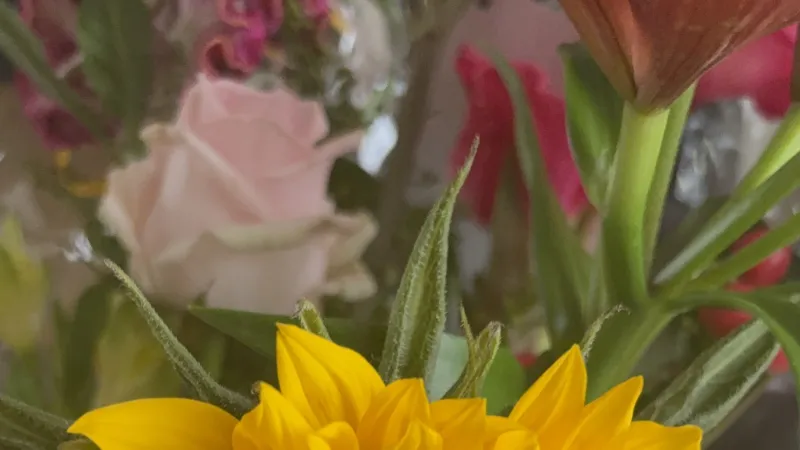 Bloemen Boyd 
