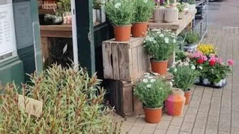 De zwolse Bloemenstal
